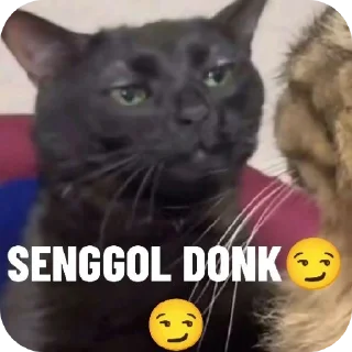 🐱 emoji jamet Telegram sticker 7 of 30
