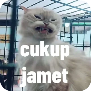 🖼 emoji jamet Telegram sticker 6 of 30
