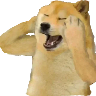 🏵 emoji Ibruuuuuh✨'s sticker pack (@Enmu_Kizuki_bot) Telegram sticker 24 of 105