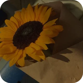 Sticker from Sunflower 🌻
