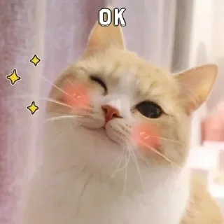 🤔 emoji 🍧 𝓐𝓓𝕚Ｔ𝕀 🍧's kang pack Telegram sticker 23 of 58