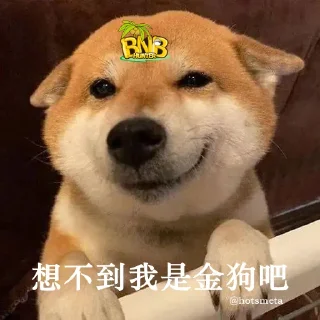 🤪 emoji @hotsmeta 社区 Telegram sticker 10 of 24