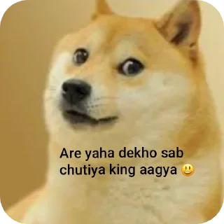 🤣 emoji Comedy King Telegram sticker 19 of 31