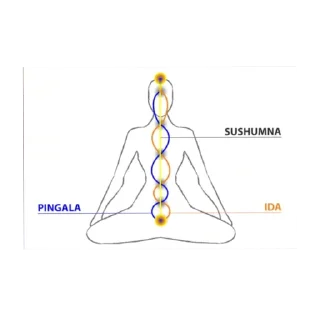 Sticker from Yoga 🧘‍♀️ @link_0192