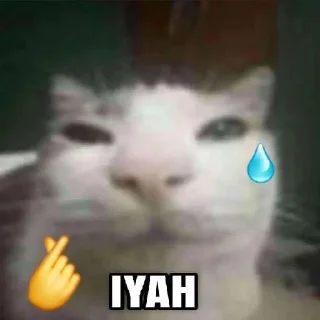 🫰 emoji Favorit @wenjunhuilover Telegram sticker 8 of 25
