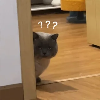 😿 emoji 小可爱 Telegram sticker 9 of 44