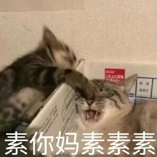 😡 emoji 小可爱 Telegram sticker 6 of 44