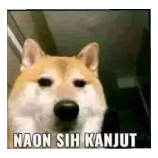 😄 emoji Tikel Telegram sticker 7 of 60