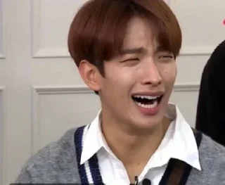 🥴 emoji RELATABLE SVT Telegram sticker 15 of 120