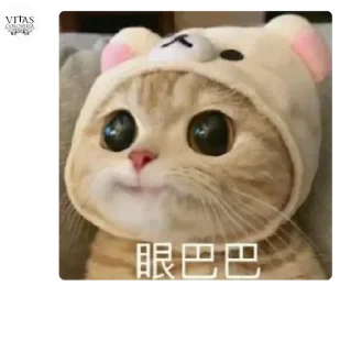 ⚡️ emoji 机场实验仓 Telegram sticker 6 of 120