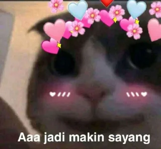 🐈 emoji Kucing sange Telegram sticker 12 of 25