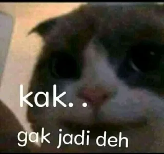 🐈 emoji Kucing sange Telegram sticker 7 of 25