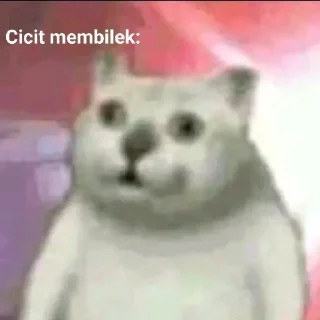 Sticker from Kucing