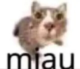 😓 emoji kucing Telegram sticker 19 of 19