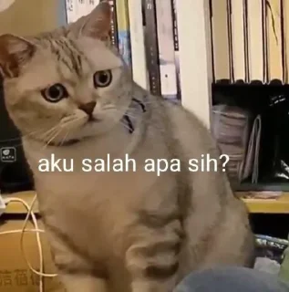 😅 emoji kucing Telegram sticker 12 of 19