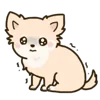 🦮 emoji ₍ ᥴᥙᴛᥱ ᥴɦiɦᥙᥲɦᥙᥲ ɗ᧐g ₎ ˚₊· ♡ @mewsticks Telegram sticker 23 of 40