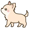 🦮 emoji ₍ ᥴᥙᴛᥱ ᥴɦiɦᥙᥲɦᥙᥲ ɗ᧐g ₎ ˚₊· ♡ @mewsticks Telegram sticker 17 of 40