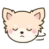 🦮 emoji ₍ ᥴᥙᴛᥱ ᥴɦiɦᥙᥲɦᥙᥲ ɗ᧐g ₎ ˚₊· ♡ @mewsticks Telegram sticker 6 of 40