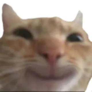 🥰 emoji SLIBAW penganut LESTI Telegram sticker 14 of 14