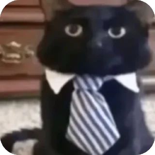 🫥 emoji ульянка соло Telegram sticker 21 of 24