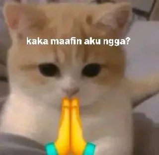🙏 emoji Cute Cat Telegram sticker 8 of 9