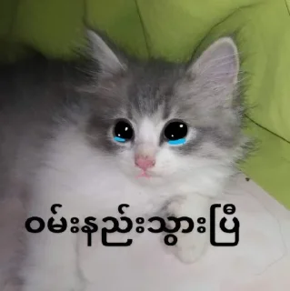 🥹 emoji Cute 🐈 cat Telegram sticker 23 of 65
