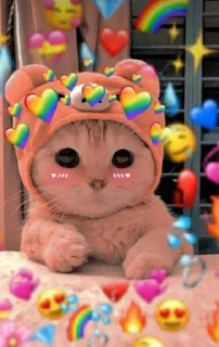 ☺️ emoji Cute 🐈 cat Telegram sticker 5 of 65