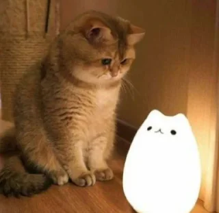 Sticker from Cat