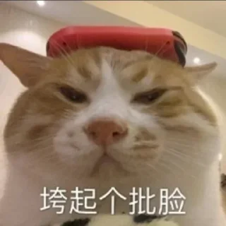 🔆 emoji 欧宝大饭西🍚 @OB1314 Telegram sticker 9 of 120