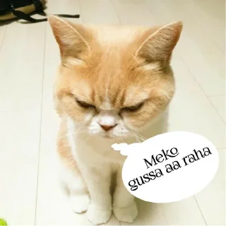 😞 emoji @hsscsscspecial panda 🐼🐼 — @stckrRobot Telegram sticker 22 of 120