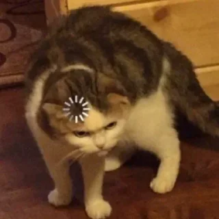 🤔 emoji Meme cats Telegram sticker 11 of 23