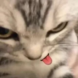 😜 emoji carai’s feeling @buwns Telegram sticker 8 of 68