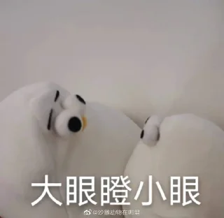🥹 emoji 神乐的海鸥完整版 Telegram sticker 19 of 36