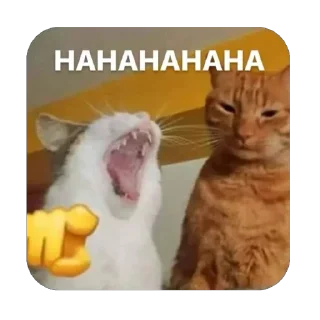 🫥 emoji mbohh Telegram sticker 6 of 16