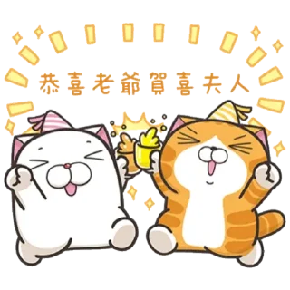 🥳 emoji 白爛貓信息貼圖 Telegram sticker 6 of 24