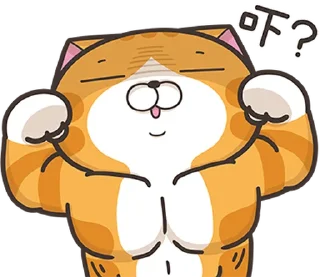 Sticker from 白爛貓22☆有字版☆ (香港版) @moe_sticker_bot