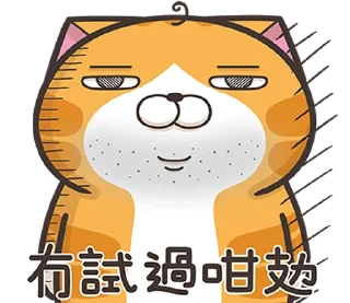 💨 emoji 白爛貓22☆有字版☆ (香港版) @moe_sticker_bot Telegram sticker 17 of 40