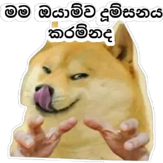 😋 emoji @speeed_y Telegram sticker 22 of 120