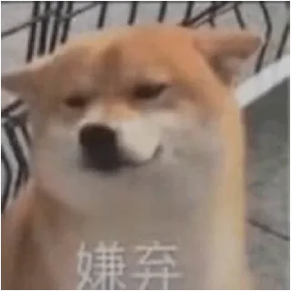 🐶 emoji 蛙蛙奥特曼😎 @HRfrog Telegram sticker 13 of 65