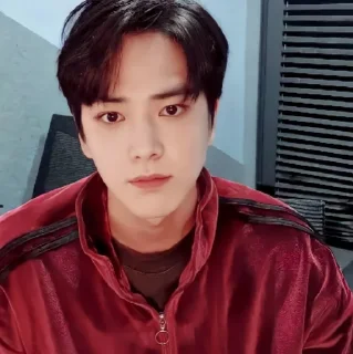🐁 emoji YOUNGHOON @stickertheboyz Telegram sticker 17 of 33