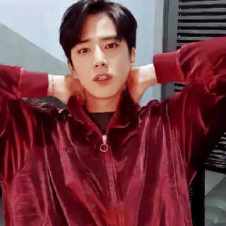 🐁 emoji YOUNGHOON @stickertheboyz Telegram sticker 24 of 33