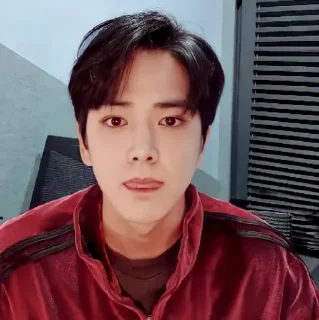 🐁 emoji YOUNGHOON @stickertheboyz Telegram sticker 19 of 33