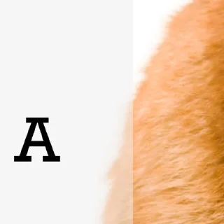 😺 emoji @ErwinSchrodingerCat  Erwin Schrödinger's Cat😺 Telegram sticker 13 of 26
