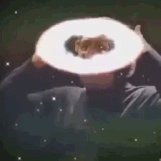 Sticker from WebM