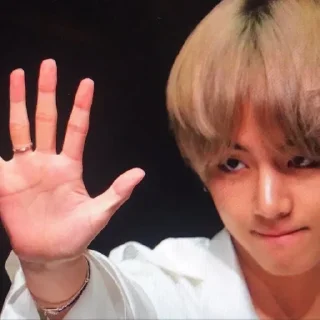 🐯 emoji kim taehyung @CIGARDEVIL Telegram sticker 9 of 100