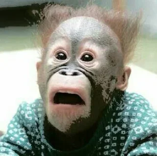 😧 emoji @yewonity the explorer Telegram sticker 6 of 36