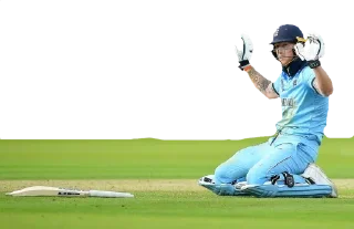 😕 emoji Cricket @CricketStickerz Telegram sticker 12 of 13