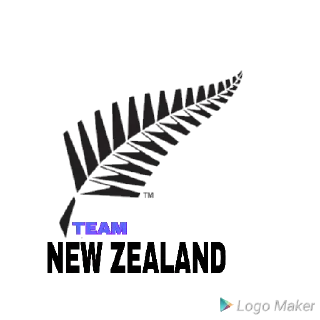 Sticker from @SAMRAT_THE_KING_2019 CRICKET PACK