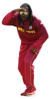 🤨 emoji Cricket @MeBenevolent Telegram sticker 23 of 41