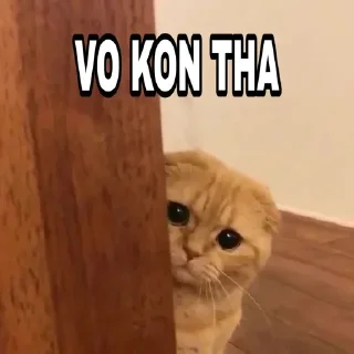 ❤️ emoji @Itz_Keshav_Op Cat's pack Telegram sticker 11 of 36